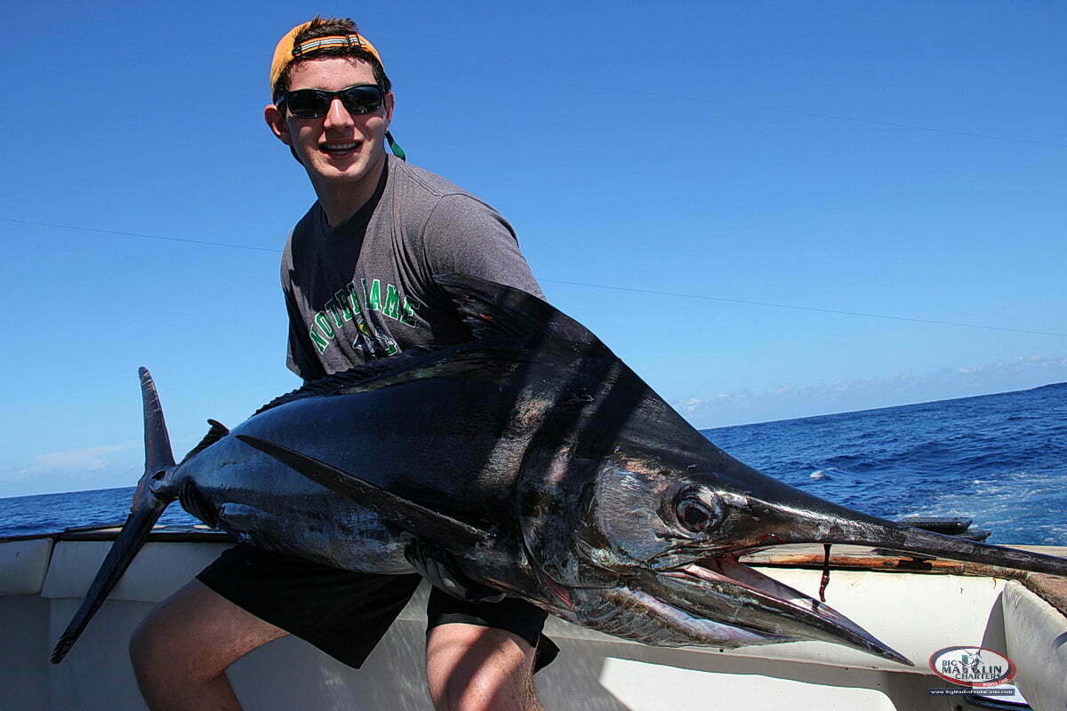 Blue white marlin fishing