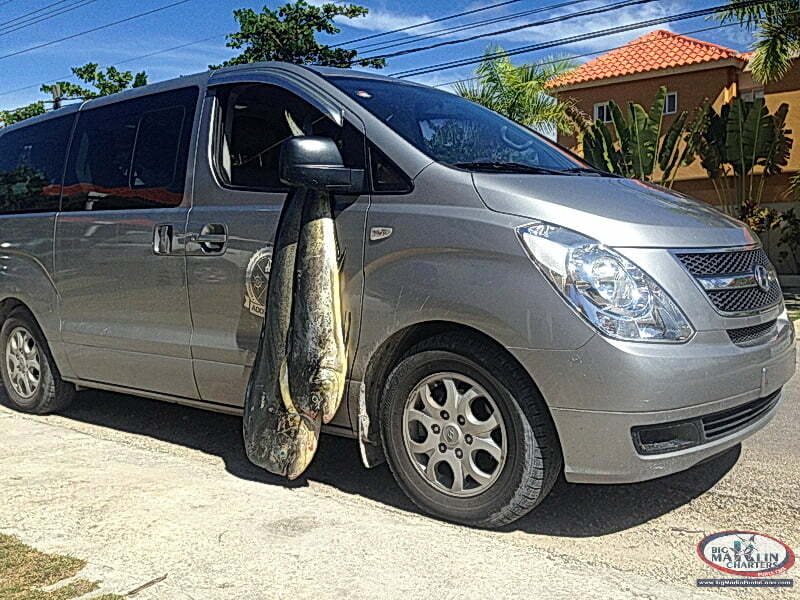 Punta Cana Mahi Mahi fishing charters van transfer resort