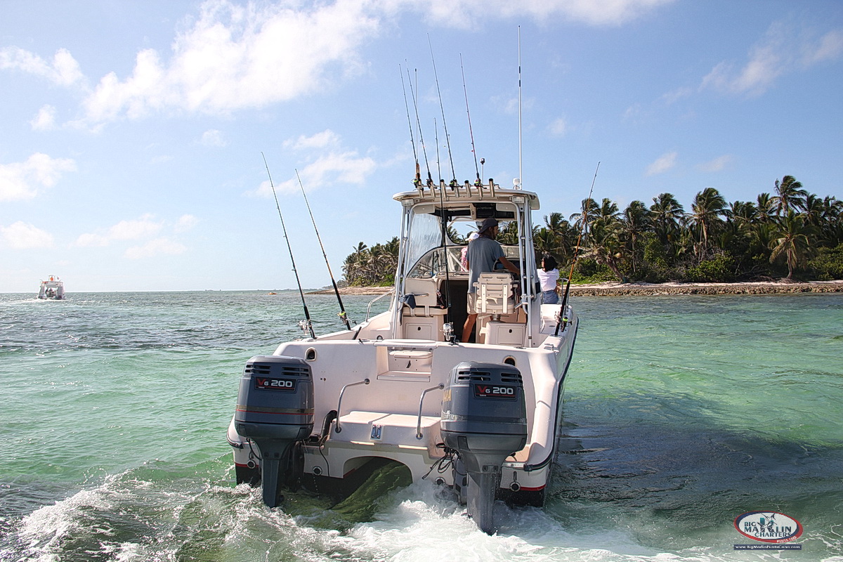 catamaran for speafishing Bavaro , Punta Cana reef spearfish