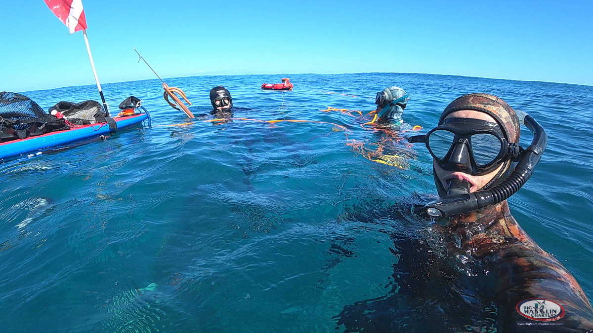 speargun fishing Punta Cana 2020 charter in DR