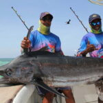 blue marlin fishing charter punta cana deep sea fishing tour