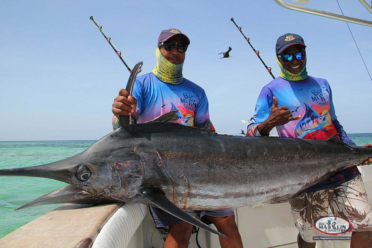 blue marlin fishing punta cana