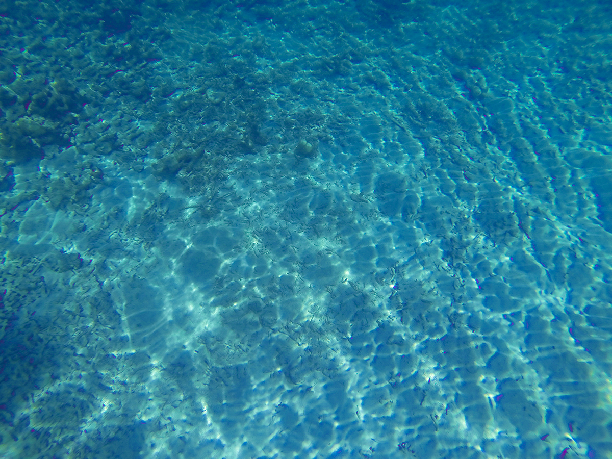 BigMarlinPuntaCana Testimonials