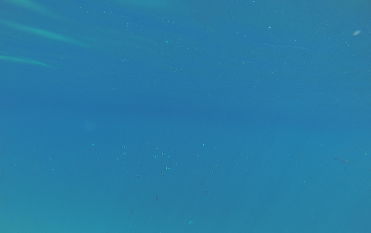 Big Marlin Charter our Boats